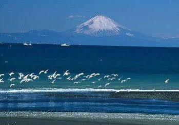Tateyama Seaside Hotel ภายนอก รูปภาพ